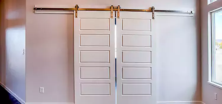 Glass Barn Door with Installation Hardware Kit Hampton