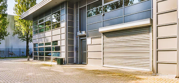 Electric Roller Garage Doors Hampton