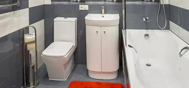 Hansgrohe Shaving Mirror Hampton